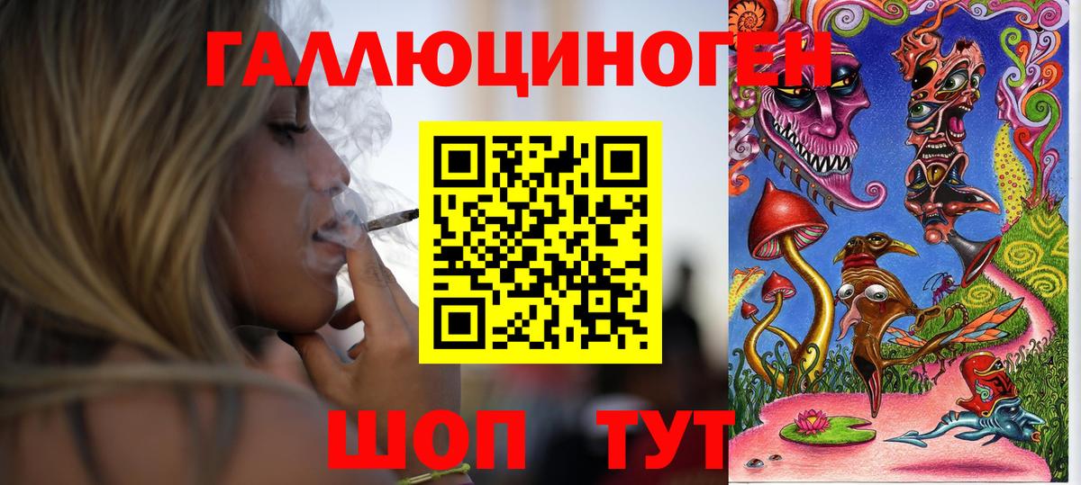 Саранск  Галлюциногенные грибы Psilocybe  Вход с VPN 